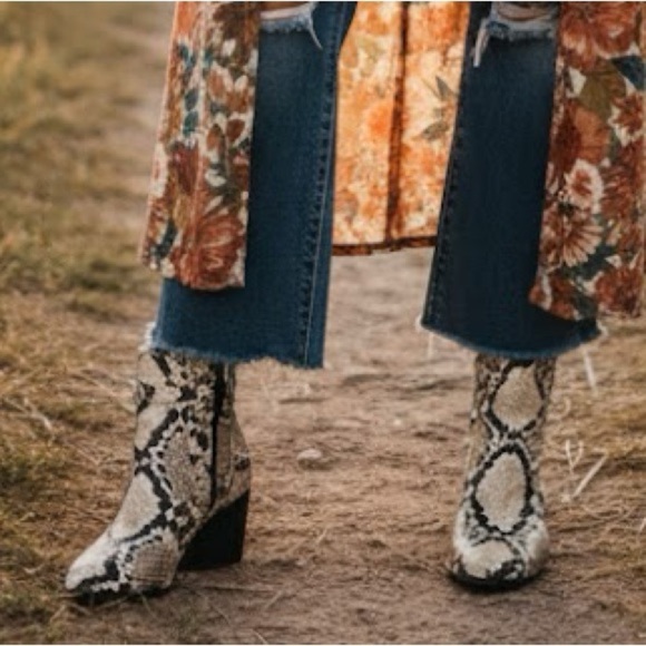 Market & Spruce Shoes - NEW Market & Spruce Snakeskin Ankle Boots size 6.5 Chunky Block Heel BOHO